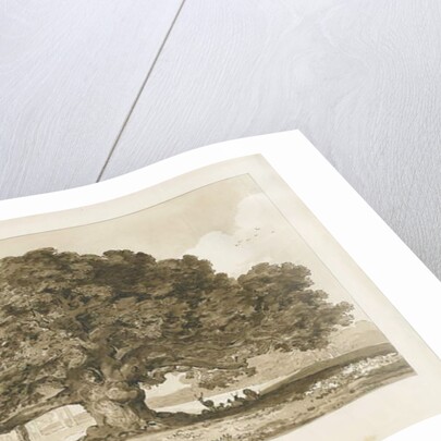Blithfield - Beggar's Oak : sepia drawing, 1837 by Thomas Peploe Wood