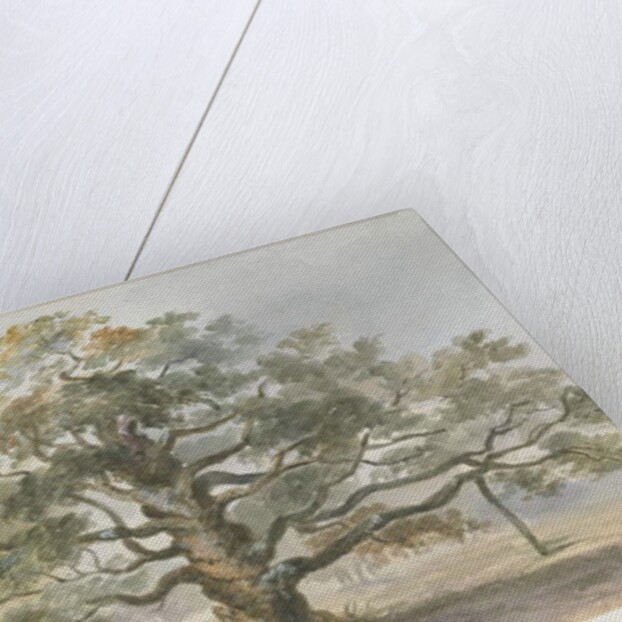 Blithfield - Beggar's Oak by Henry James Noyes