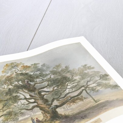 Blithfield - Beggar's Oak by Henry James Noyes