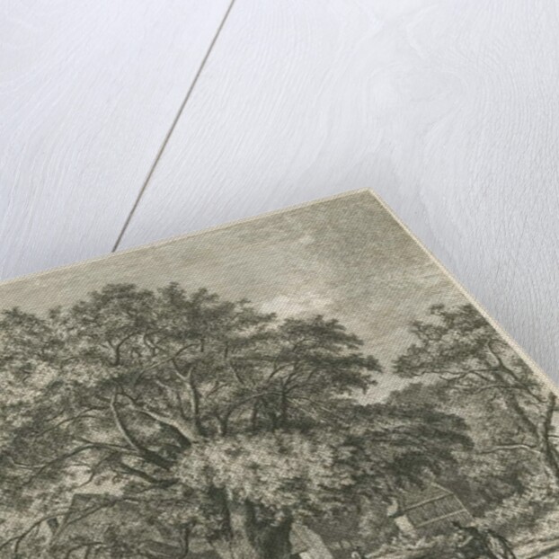 Blithfield - Wych Elm by Jacob George Strutt