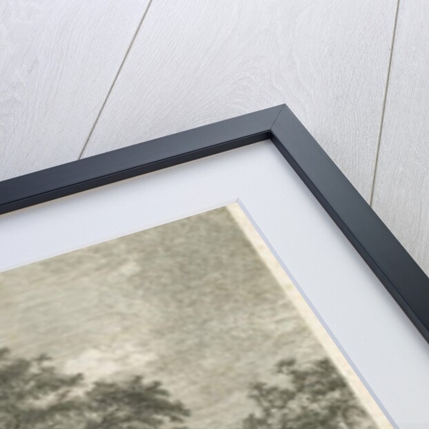 Blithfield - Wych Elm by Jacob George Strutt