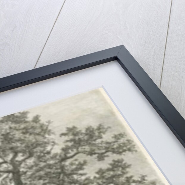 Blithfield - Squitch-bank Oak : etching, 1824 by School English