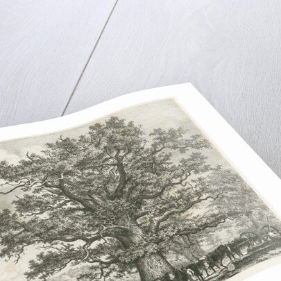 Blithfield - Squitch-bank Oak : etching, 1824 by School English