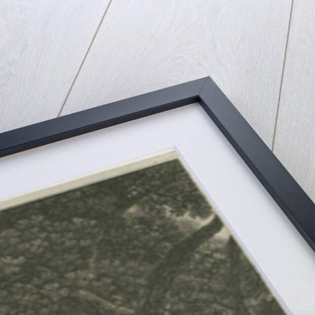 Boscobel - The Royal Oak by Joseph & Smirke Robert (1752-1845) (after) Farrington