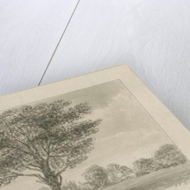 Boscobel - The Royal Oak by John Chessell Buckler