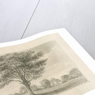 Boscobel - The Royal Oak by John Chessell Buckler