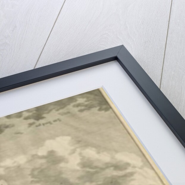 Gerards Bromley Hall: engraving, nd [1653-1686] by Michael Burghers