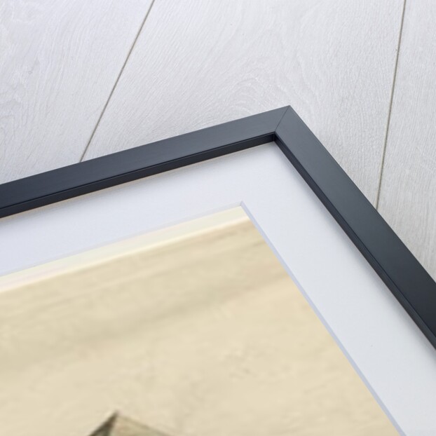 Burton-upon-Trent Abbey by Stebbing Shaw