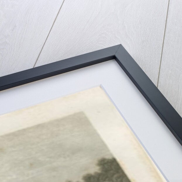 Burton-upon-Trent - Manor House: engraving, nd [c 1812] by William Carter