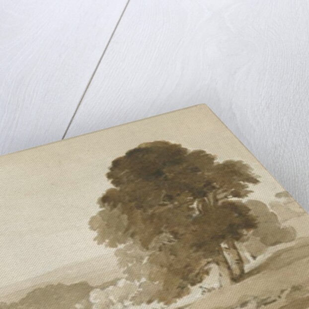 Cannock Chase by Thomas Peploe Wood