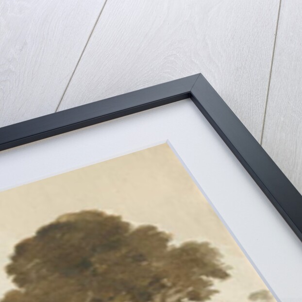 Cannock Chase by Thomas Peploe Wood