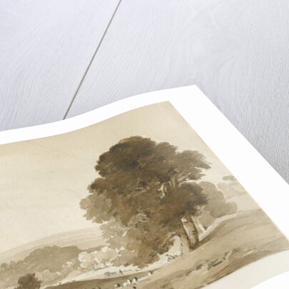 Cannock Chase by Thomas Peploe Wood