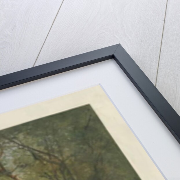 Cannock Chase by School English