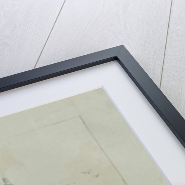 Cannock Town - 'Ancient House' by Thomas Peploe Wood