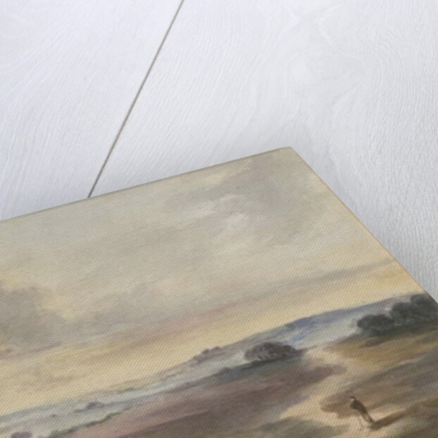 Cannock Chase - 'Heath' by Henry James Noyes