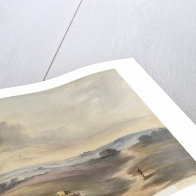 Cannock Chase - 'Heath' by Henry James Noyes