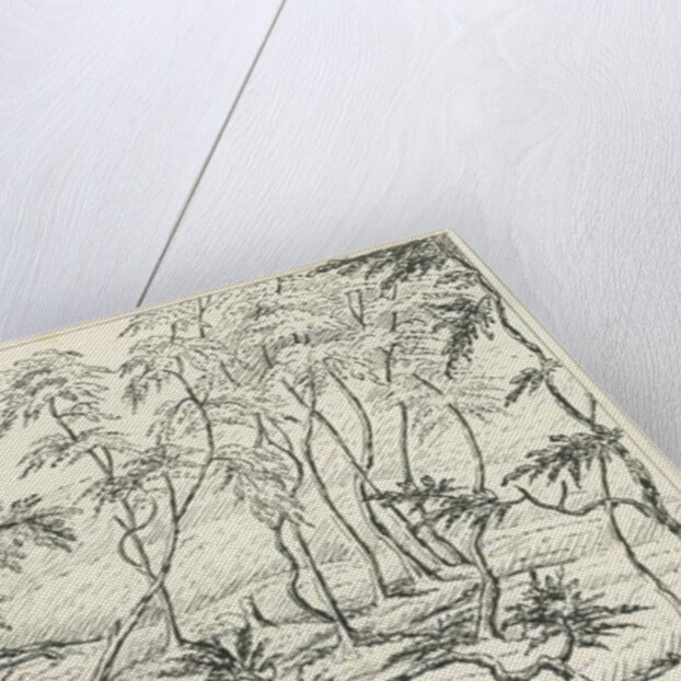 Cannock Chase by School English