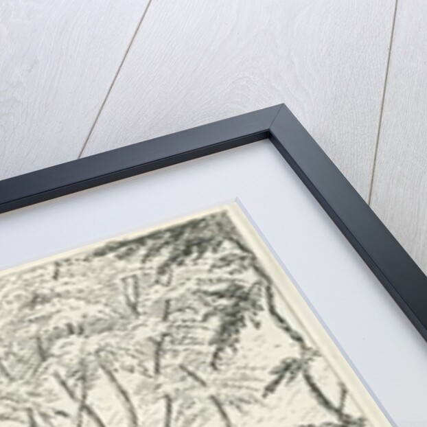 Cannock Chase by School English