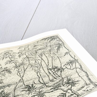 Cannock Chase by School English