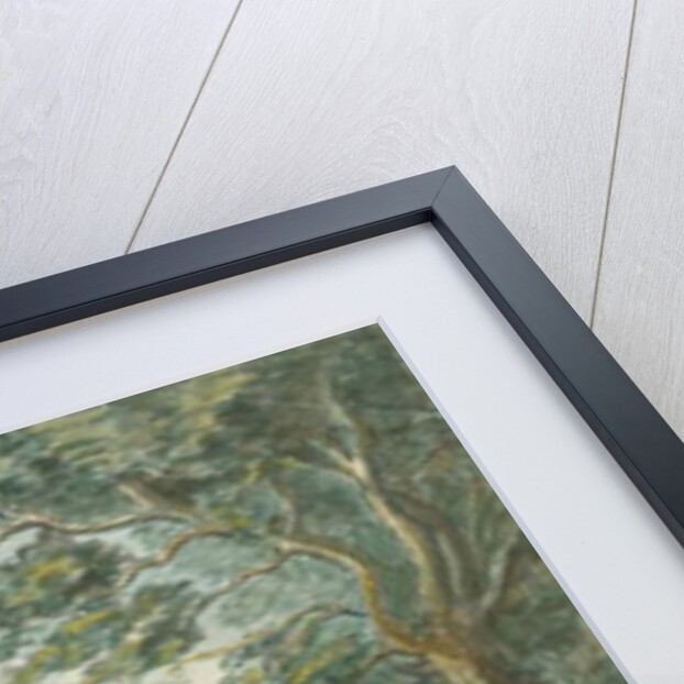 Canwell Hall by School English