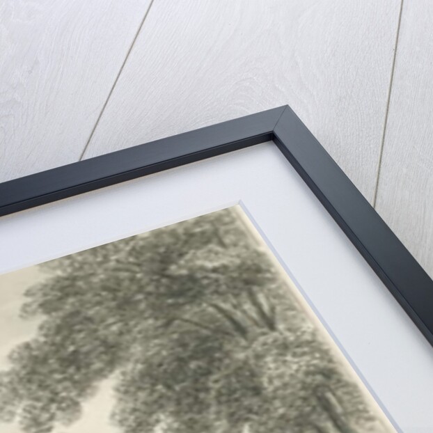 Caverswall Village - Old Houses by John Buckler