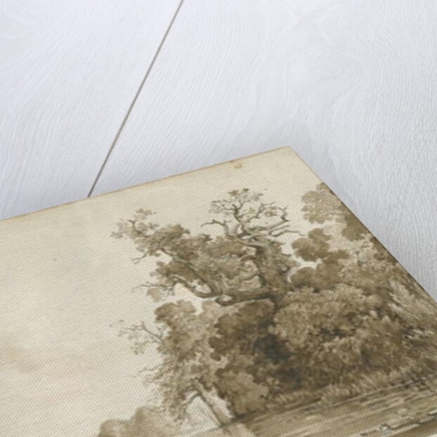 Chillington Park - Pool by Thomas Peploe Wood