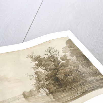 Chillington Park - Pool by Thomas Peploe Wood