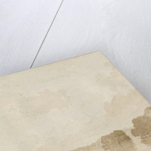 Chillington Park - Pool by Thomas Peploe Wood