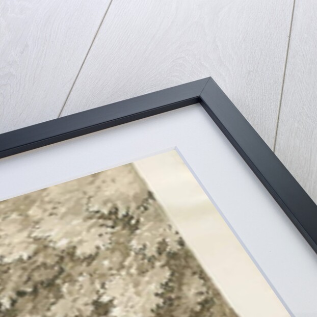 Codsall Wood - Brimstone Well by Thomas Peploe Wood