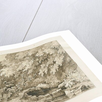 Codsall Wood - Brimstone Well by Thomas Peploe Wood