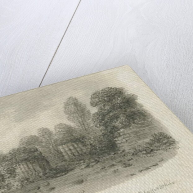 Dieulacres Abbey by John Buckler