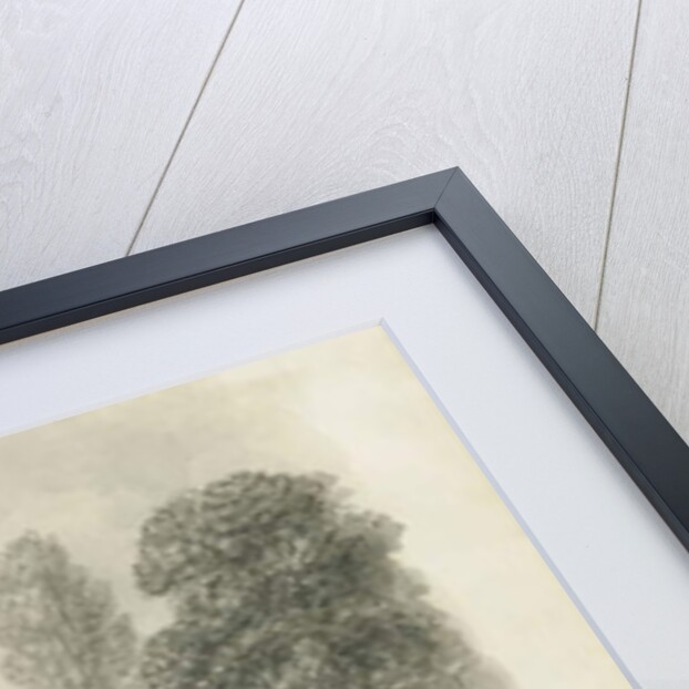 Dieulacres Abbey by John Buckler