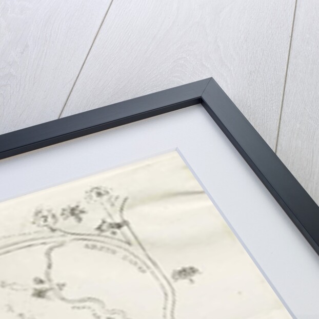 Dudley Castle: lithograph by Luke Booker