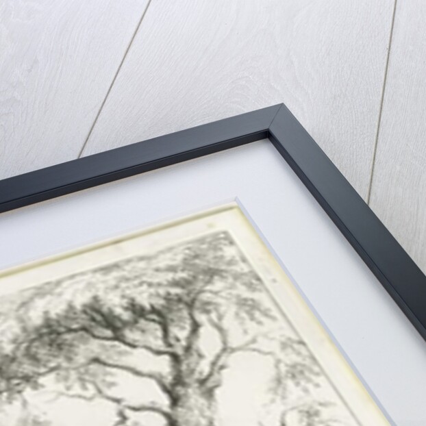 Dudley - Tree by Luke Booker