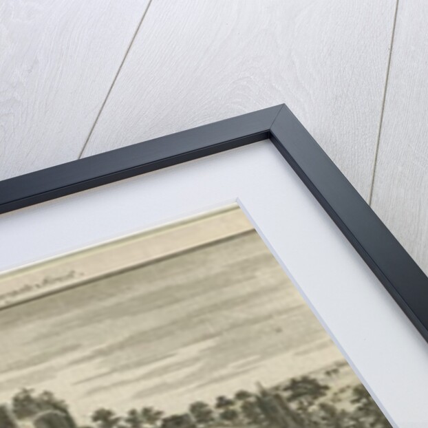 Dudley Castle by School English