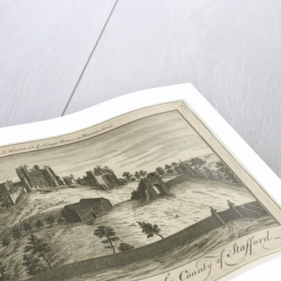 Dudley Castle by School English