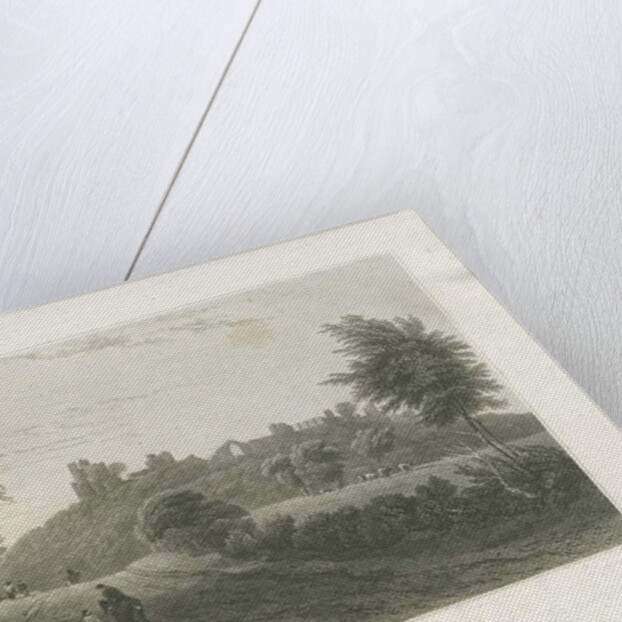 Dudley Castle by William Radclyffe