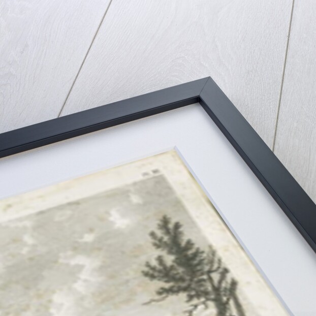 Dudley Castle: engraving, nd [1762-1802] by Stebbing Shaw