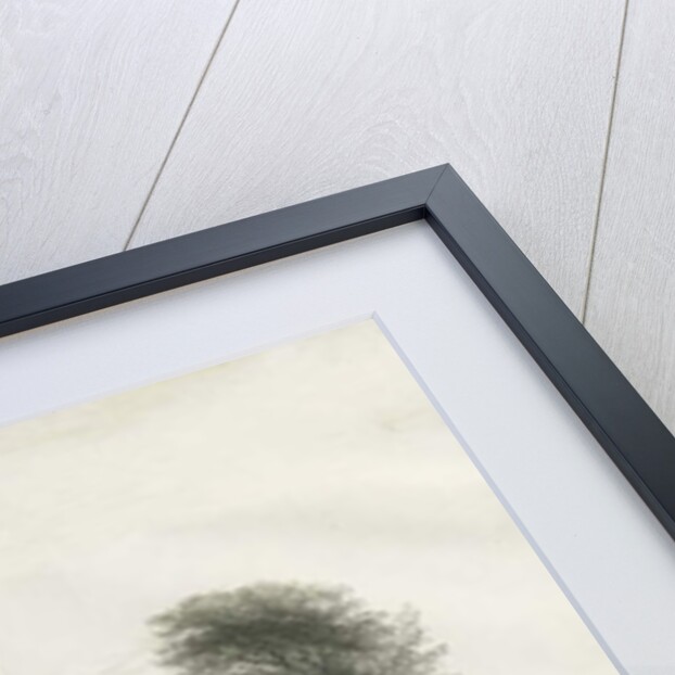 Dudley Castle by School English