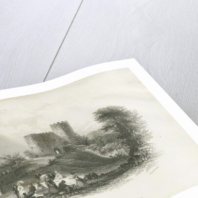 Dudley Castle by School English