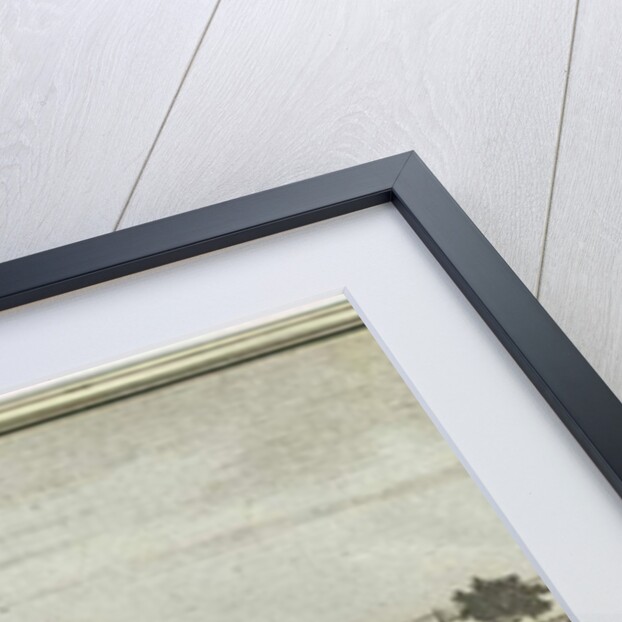 Dudley Castle: engraving by School English