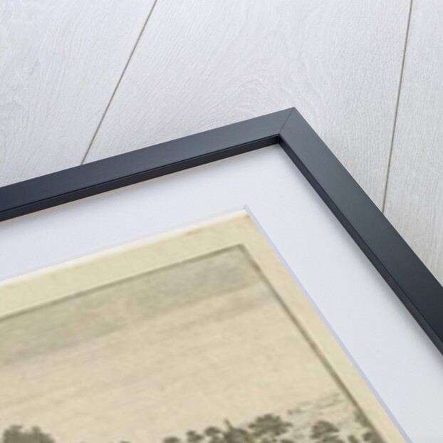 Dudley Castle: engraving by School English