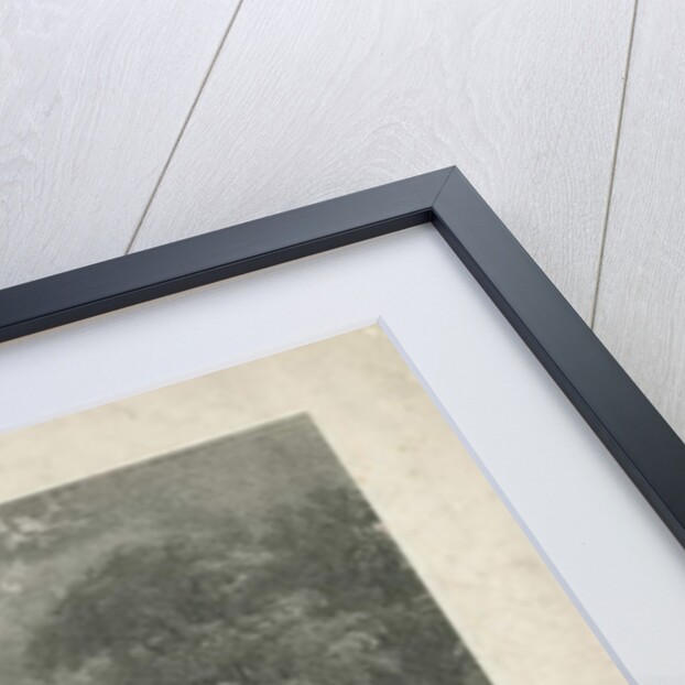 Ingestre Hall by Moses Webster