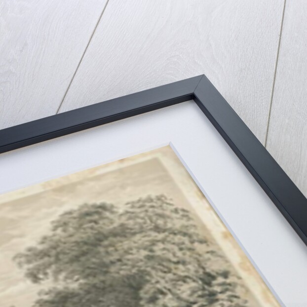 Eccleshall Village: lithograph by Louis Haghe