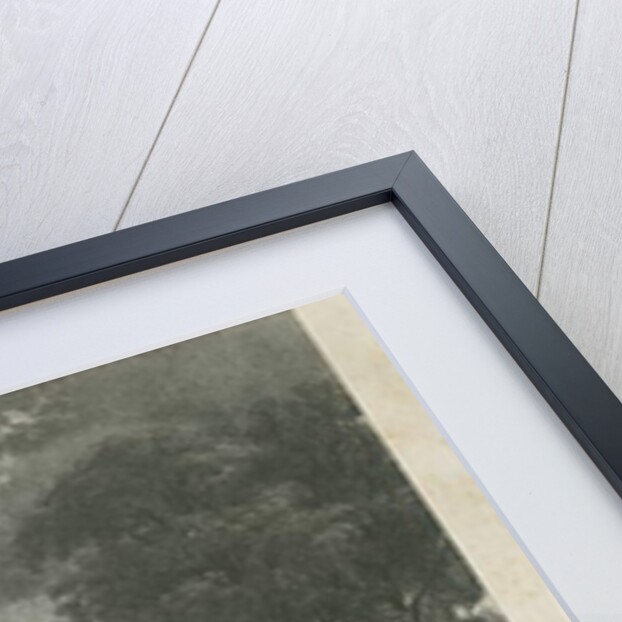 Ingestre Hall: lithograph by Moses Webster