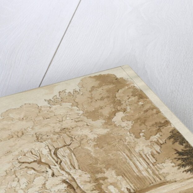 Ingestre - a study of trees by Thomas Peploe Wood