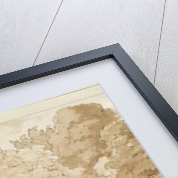 Ingestre - a study of trees by Thomas Peploe Wood