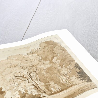 Ingestre - a study of trees by Thomas Peploe Wood