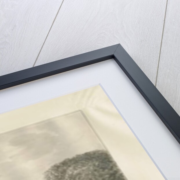 Eccleshall 'Castle' by John Buckler