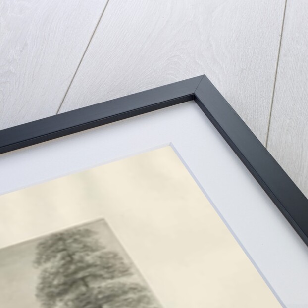 Kinver Town - 'School House' by John Buckler